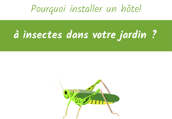 hotel a insecte article de blog