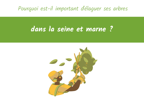 pourquoi élaguer ses arbres