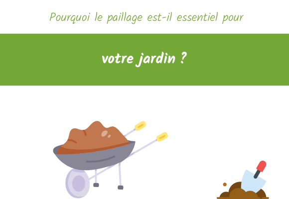 pourquoi paillage essentiel jardin