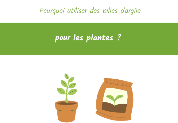 Pourquoi utiliser des billes d'argile pour les plantes