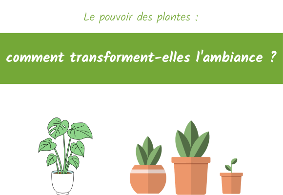 pouvoir des plantes