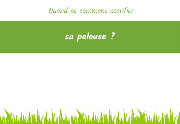 quand et comment scarifier la pelouse