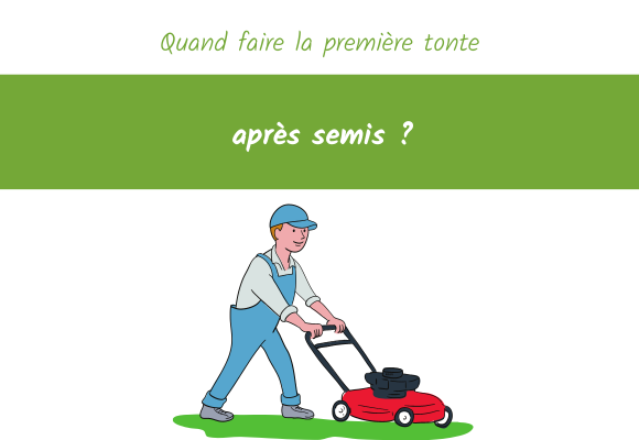 Quand faire la première tonte de pelouse après semis
