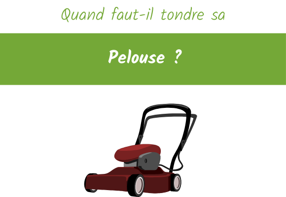 quand faut il tondre sa pelouse ?