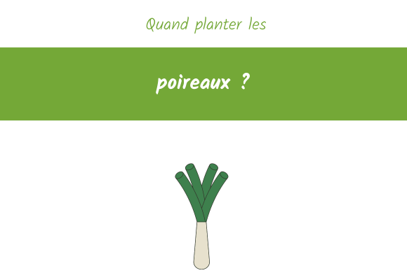 quand planter les poireaux