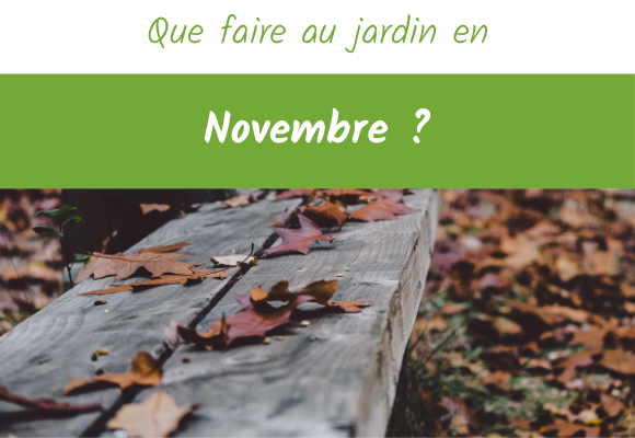 que faire au jardin en novembre ?