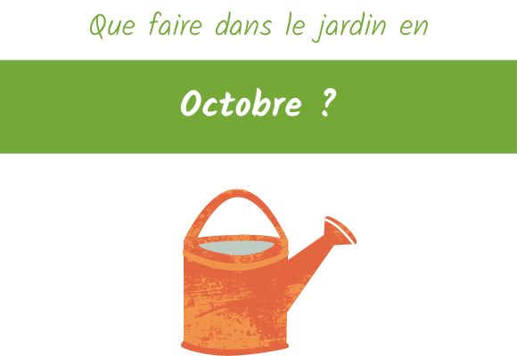 que faire dans le jardin en octobre ?