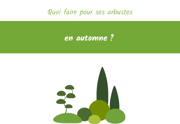 que faire pour ses arbustes automne