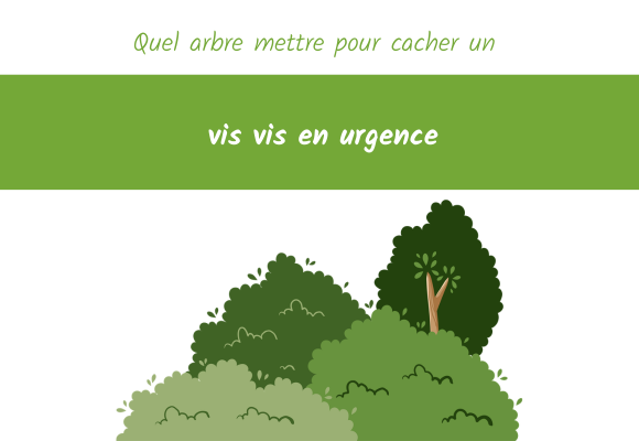 quel arbre pour cacher un vis a vis urgence