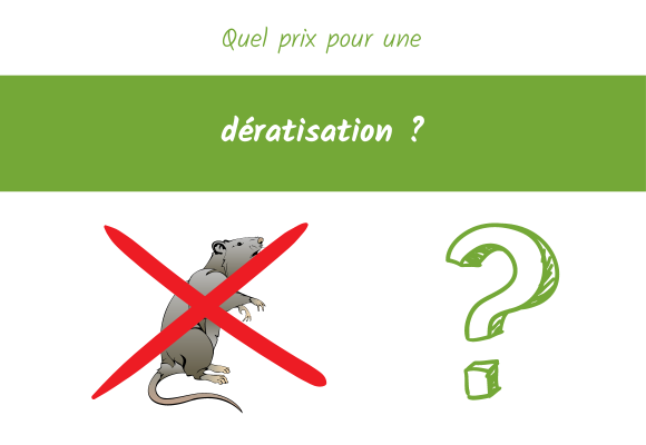 quel prix pour une dératisation ?