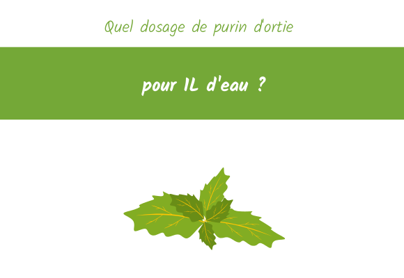 quel dosage purin ortie pour 1 litre eau