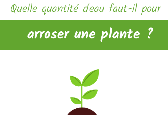 Quelle quantité d'eau faut-il pour arroser une plante ?