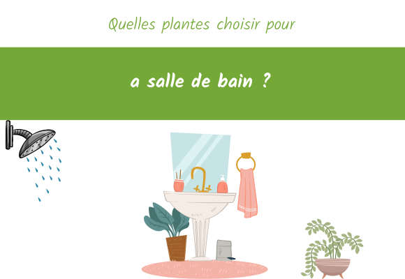 quelles plantes choisir salle de bain