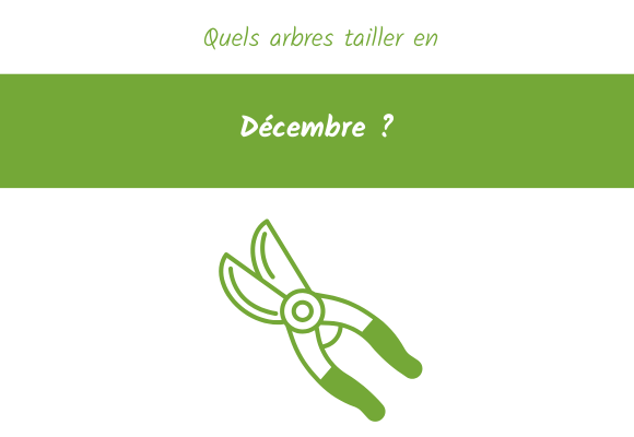 quels-arbre-tailler-decembre