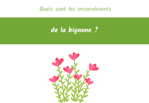 quels sont les inconvenients bignone