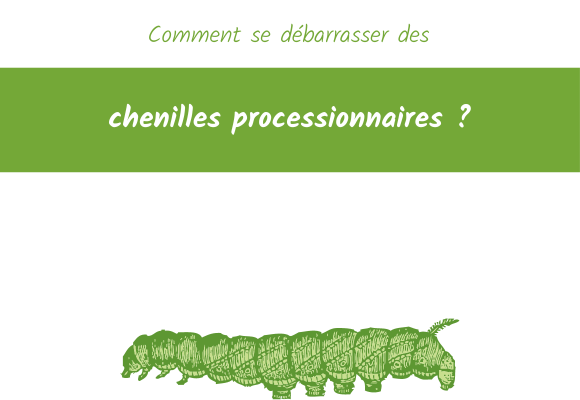 se debarrasser des chenilles processionnaires