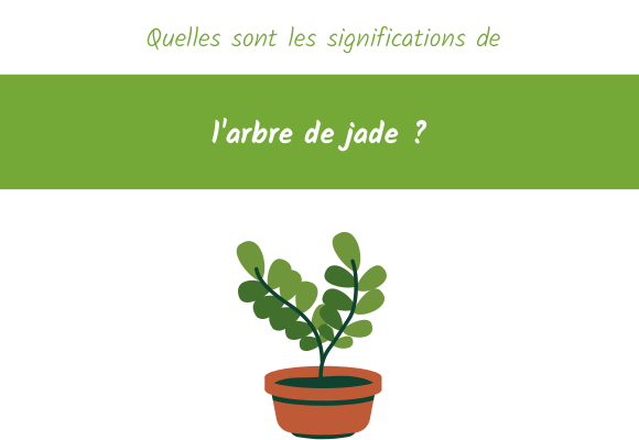 significations-arbre-jade