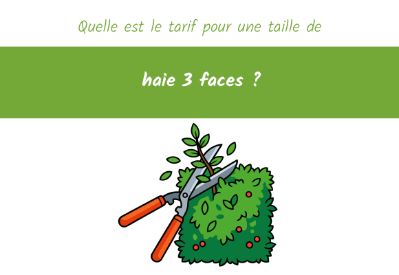 Quelle est le tarif pour une taille de haie 3 faces