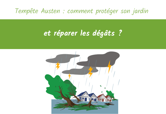 Tempête Austen comment protéger son jardin et réparer les dégâts
