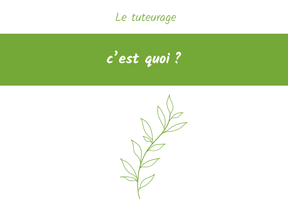 tuteurage