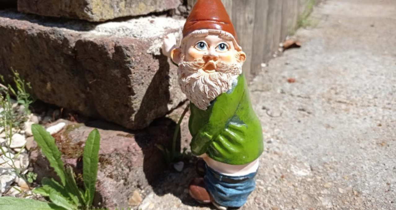 nain de jardin qui fait pipi avis client