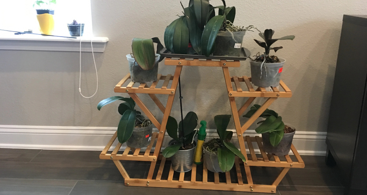 porte plante avis client