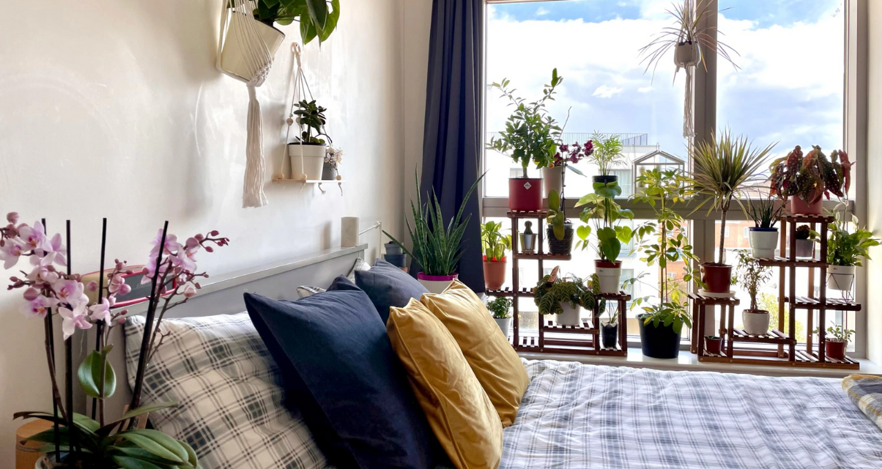 avis client Emilie deco florale