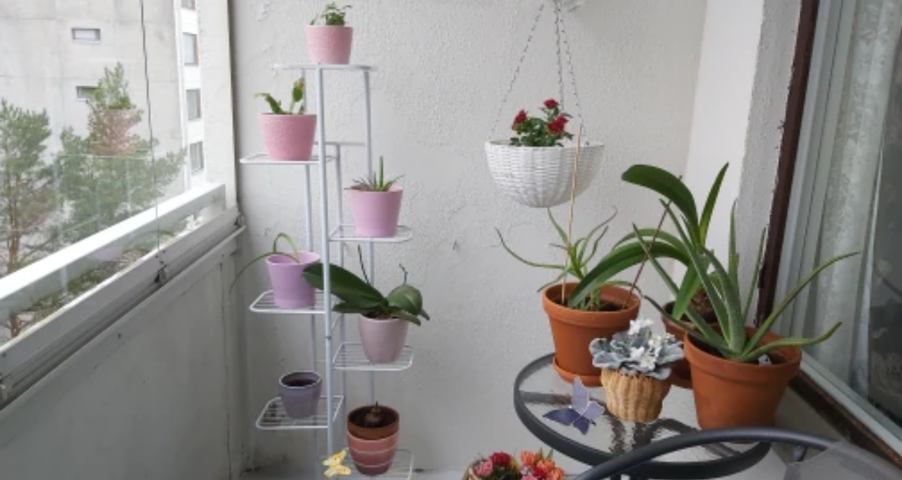 porte plante avis client julia