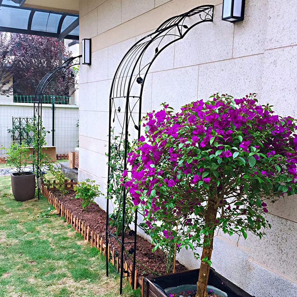 Perfect Original Photos about  Demi Arche De Jardin  as Your HD Pictures