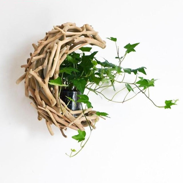 porte plante bois flotté