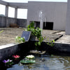 fontaine de bassin  solaire